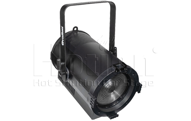 PIONEER 300 ZOOM